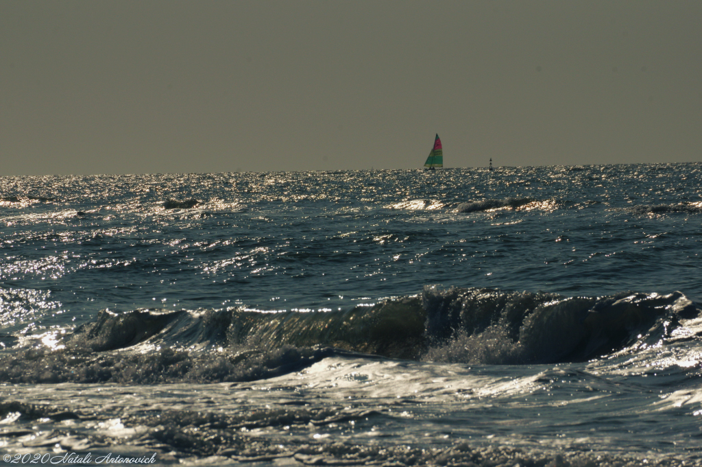 Album  "Belgian Coast" | Photography image "Water Gravitation" by Natali Antonovich in Photostock.