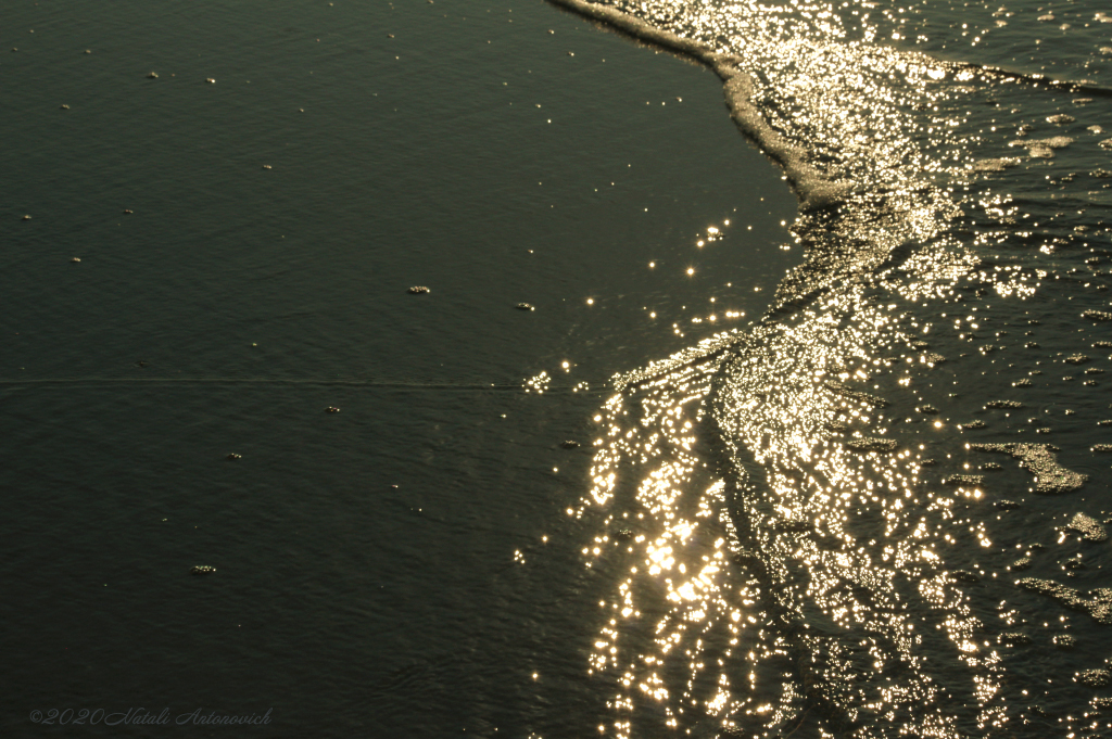 Fotografie afbeelding "Water Gravitation" door Natali Antonovich | Archief/Foto Voorraad.