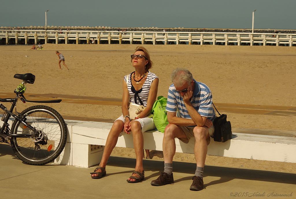 Album "Portrait" | Fotografie afbeelding "Belgische Kust" door Natali Antonovich in Archief/Foto Voorraad.