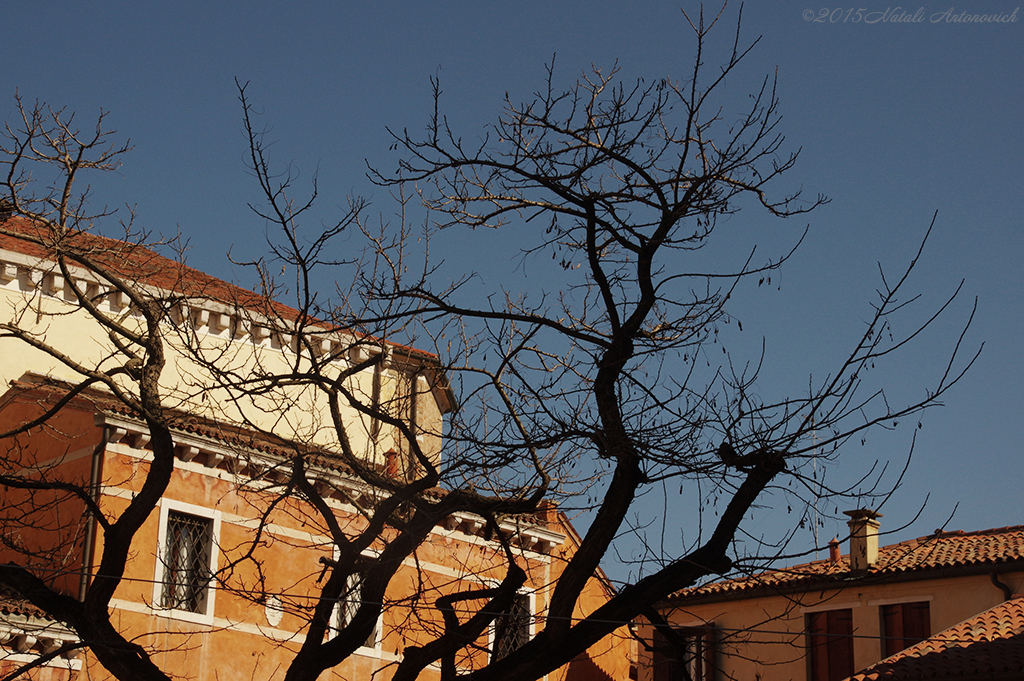 Fotografie afbeelding "Mirage-Venice" door Natali Antonovich | Archief/Foto Voorraad.