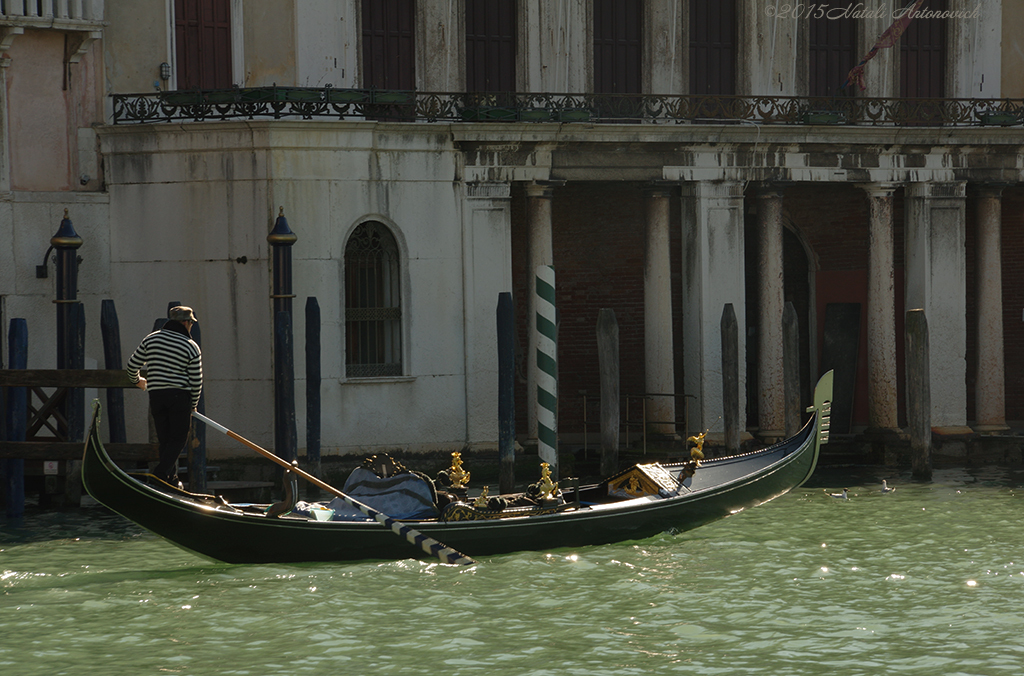 Album "Mirage-Venice" | Fotografiebild "Water Gravitation" von Natali Antonovich im Sammlung/Foto Lager.