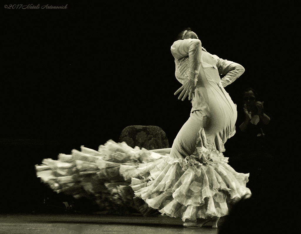 Album "Dance" | Fotografiebild "Monochrom" von Natali Antonovich im Sammlung/Foto Lager.