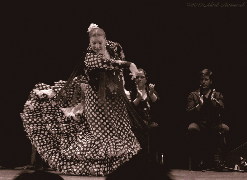 Альбом "Dance" | Фотография "Монохромный" от Натали Антонович в Архиве/Банке Фотографий