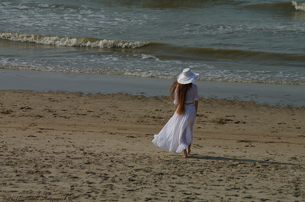 Album "Belgian Coast" | Fotografie afbeelding "Hoed " door Natali Antonovich in Archief/Foto Voorraad.