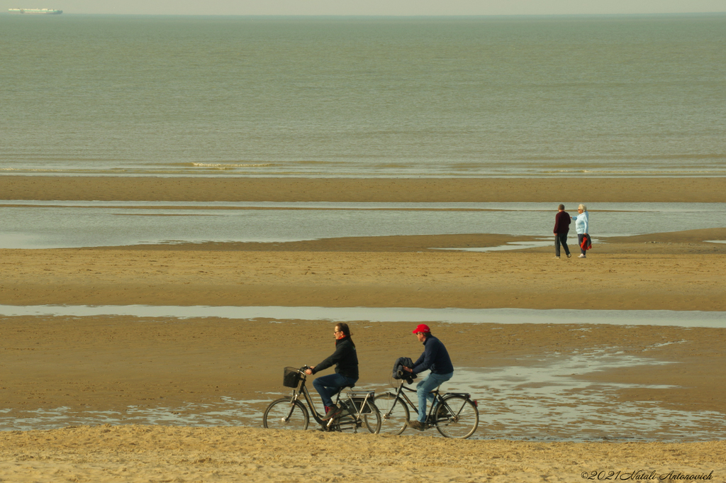 Album " Belgian Coast" | Fotografie afbeelding "Belgische Kust" door Natali Antonovich in Archief/Foto Voorraad.