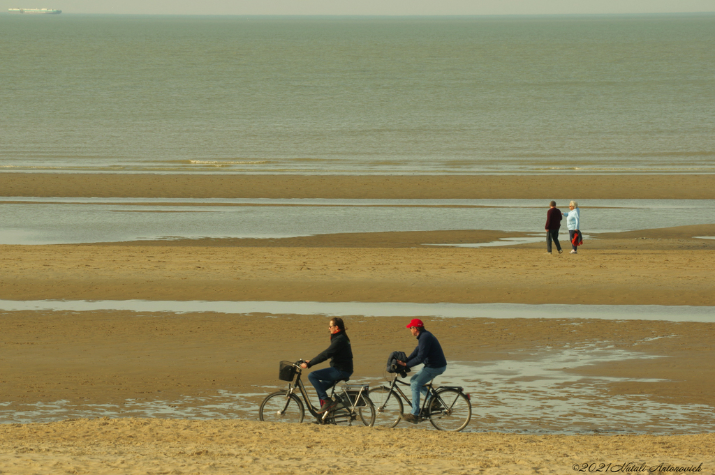 Album " Belgian Coast" | Fotografiebild "Water Gravitation" von Natali Antonovich im Sammlung/Foto Lager.