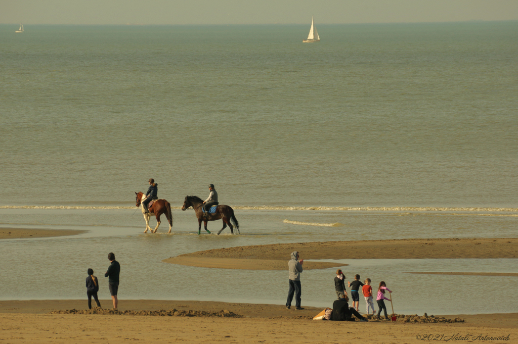 Image de photographie " Belgian Coast" de Natali Antonovich | Photostock.