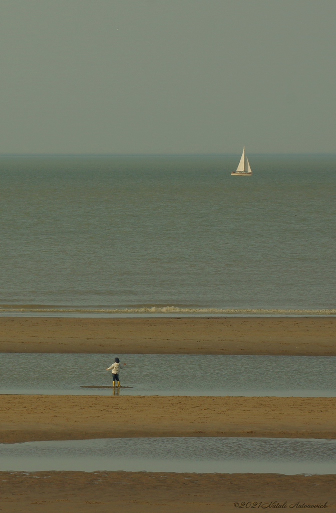 Album  " Belgian Coast" | Photography image "Belgian Coast" by Natali Antonovich in Photostock.