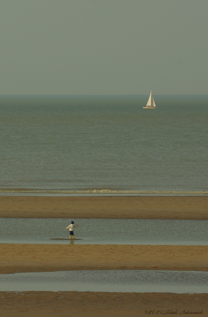 Album " Belgian Coast" | Image de photographie "Côte Belge" de Natali Antonovich en photostock.