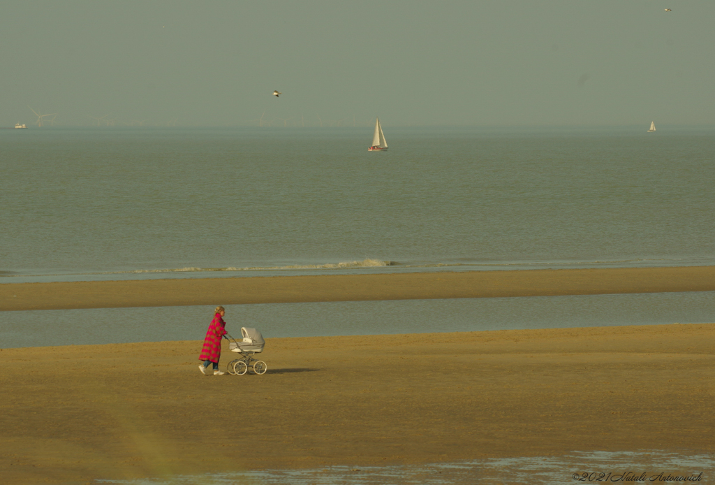 Album " Belgian Coast" | Fotografiebild "Belgien" von Natali Antonovich im Sammlung/Foto Lager.