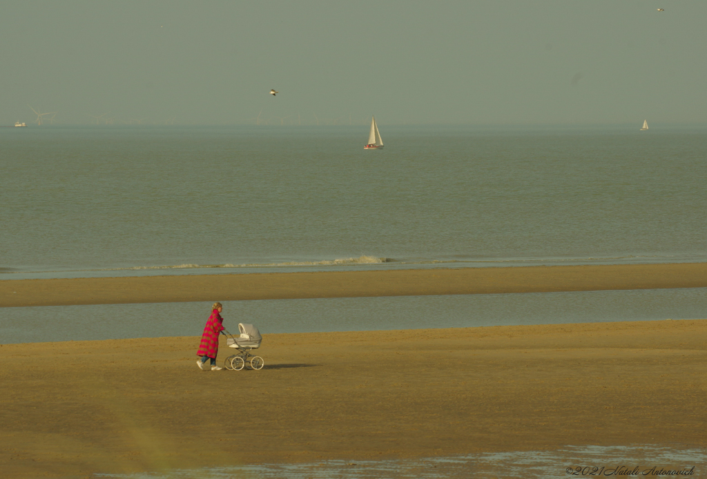 Album " Belgian Coast" | Fotografie afbeelding "Water Gravitation" door Natali Antonovich in Archief/Foto Voorraad.