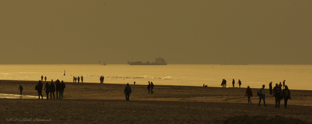 Album " Belgian Coast" | Fotografiebild "Parallelen" von Natali Antonovich im Sammlung/Foto Lager.