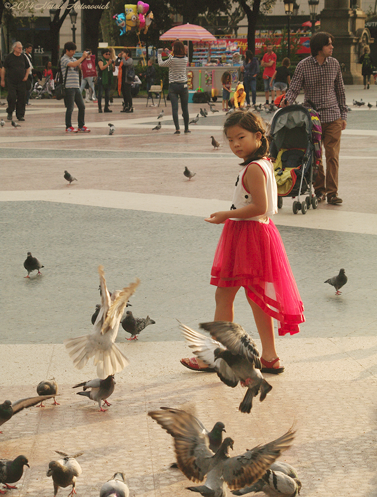 Album "Sunny Barcelona" | Image de photographie " Barcelona" de Natali Antonovich en photostock.