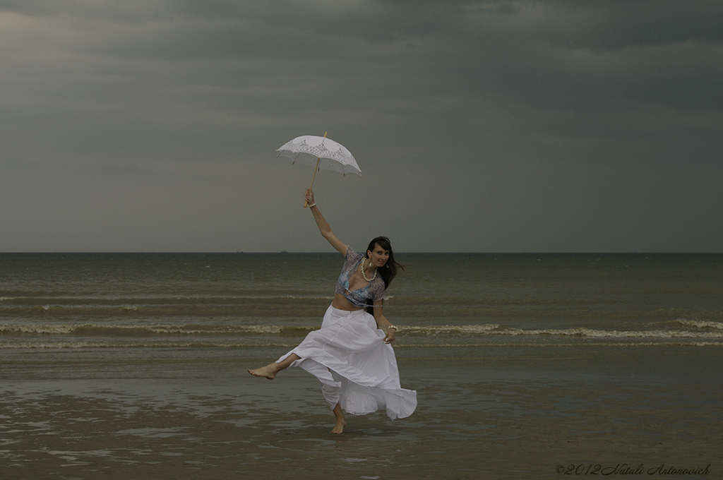 Album "Image sans titre" | Image de photographie "Côte Belge" de Natali Antonovich en photostock.