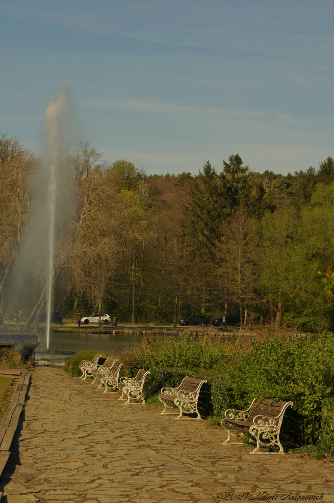 Album  "Image without title" | Photography image "Belgium" by Natali Antonovich in Photostock.