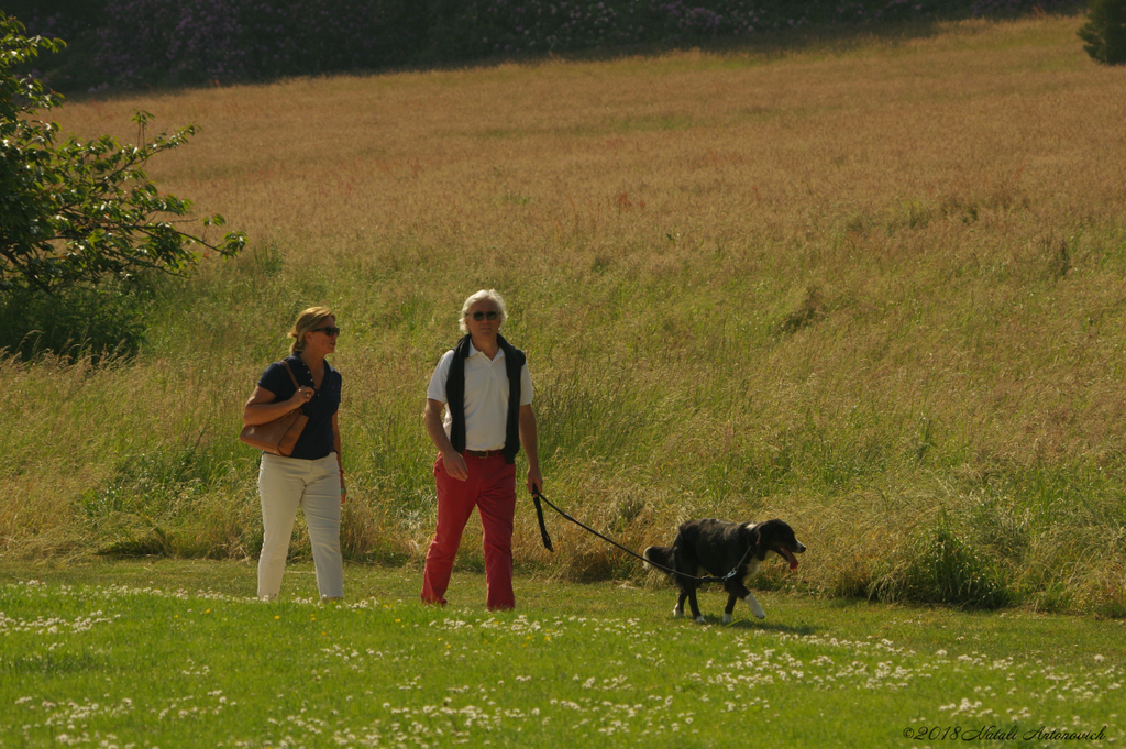 Album  "La Hulpe.Belgique" | Photography image "Belgium" by Natali Antonovich in Photostock.