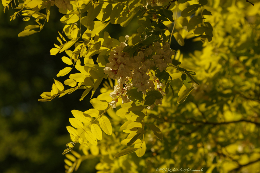 Image de photographie "Image sans titre" de Natali Antonovich | Photostock.