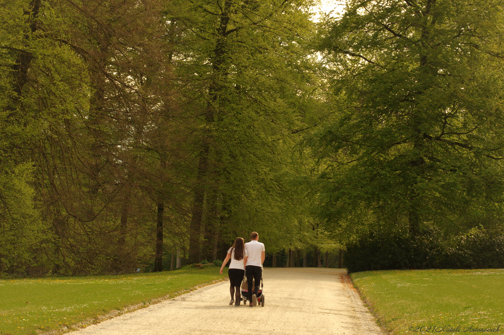 Fotografie afbeelding "La Hulpe.Belgique" door Natali Antonovich | Archief/Foto Voorraad.