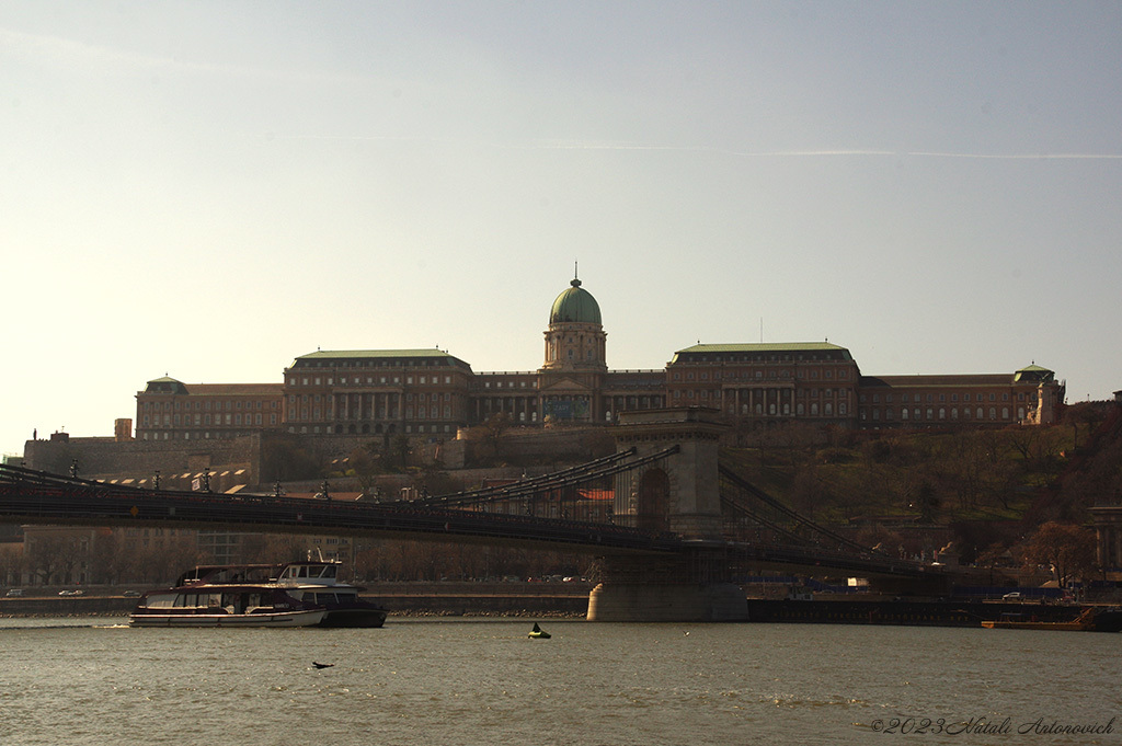 Альбом "Budapest" | Фотография "Будапешт" от Натали Антонович в Архиве/Банке Фотографий