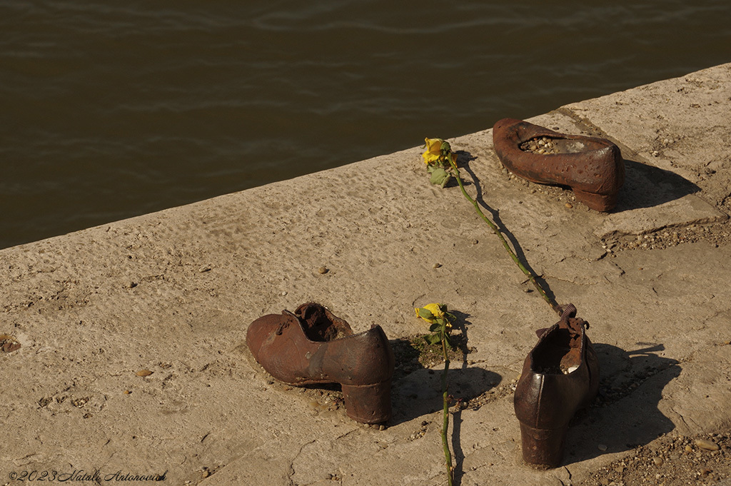 Image de photographie "Budapest" de Natali Antonovich | Photostock.