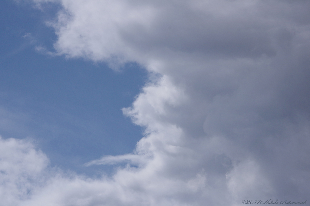 Album "Sky" | Image de photographie "Celestial mood" de Natali Antonovich en photostock.