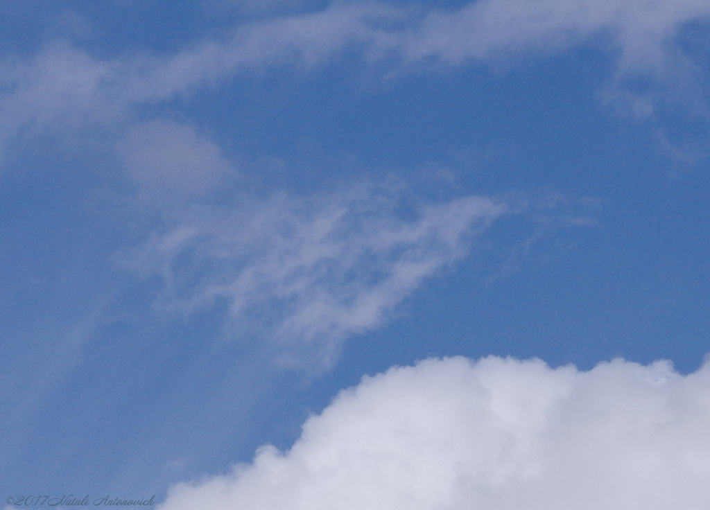 Album "Sky" | Fotografiebild "Parallelen" von Natali Antonovich im Sammlung/Foto Lager.