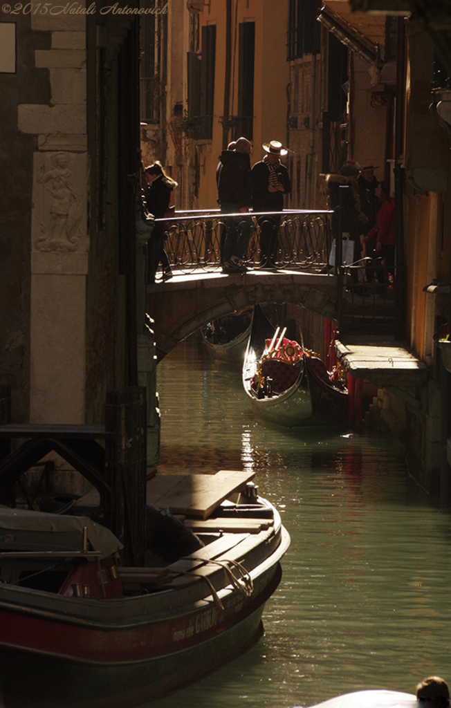 Album "Mirage-Venice" | Image de photographie "Water Gravitation" de Natali Antonovich en photostock.