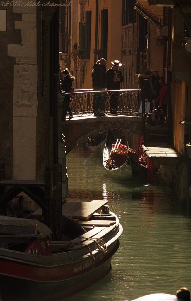 Album "Mirage-Venice" | Fotografiebild "Water Gravitation" von Natali Antonovich im Sammlung/Foto Lager.