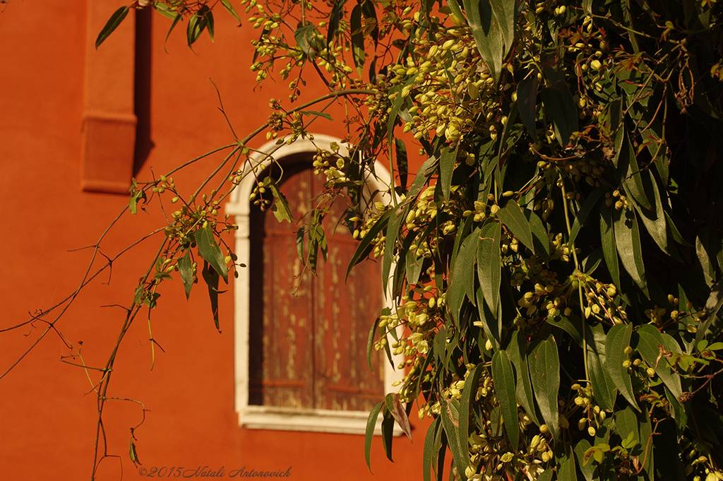 Album "Mirage-Venice" | Fotografie afbeelding "Venetië" door Natali Antonovich in Archief/Foto Voorraad.