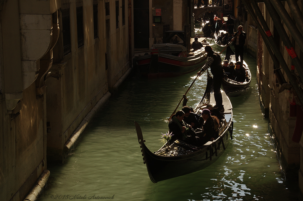 Альбом "Mirage-Venice" | Фотография "Water Gravitation" от Натали Антонович в Архиве/Банке Фотографий