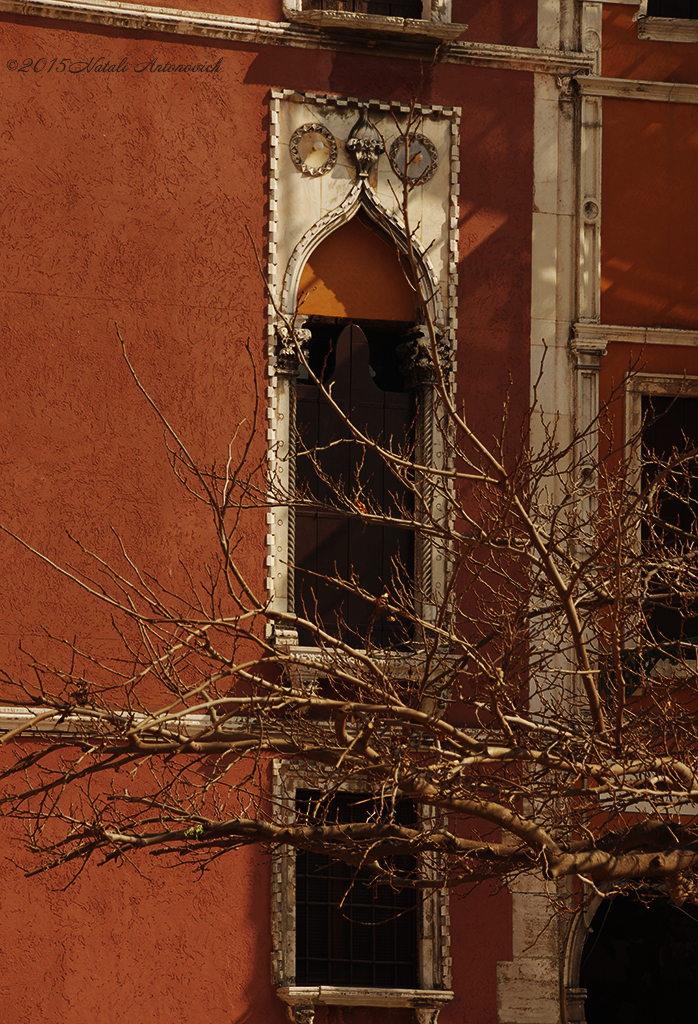 Альбом "Mirage-Venice" | Фотография "Венеция" от Натали Антонович в Архиве/Банке Фотографий