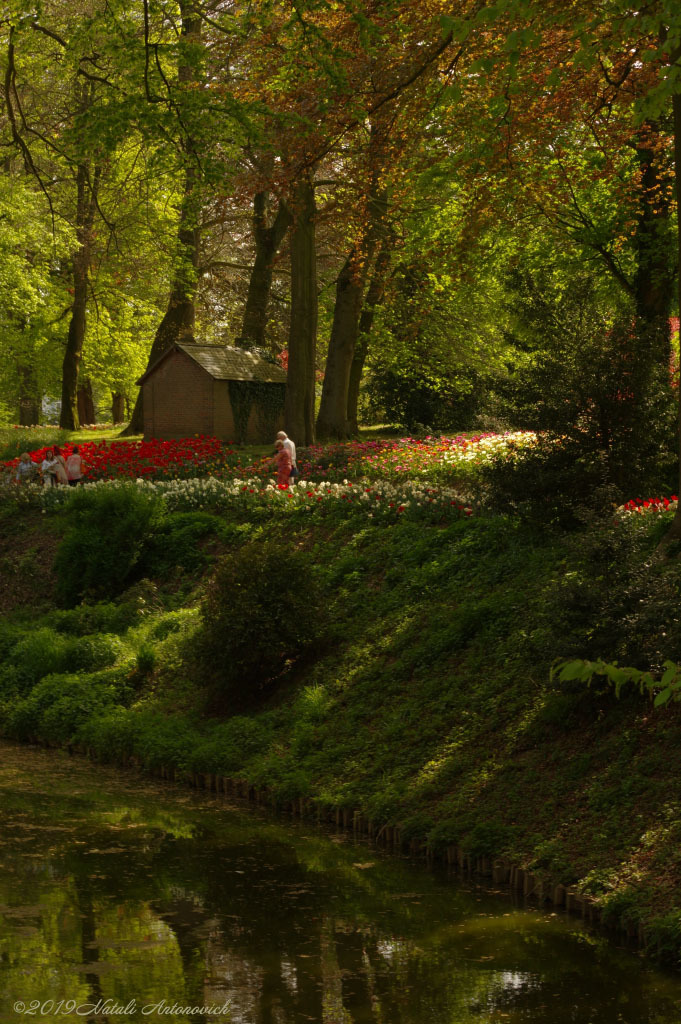 Fotografie afbeelding "Afbeelding zonder titel" door Natali Antonovich | Archief/Foto Voorraad.