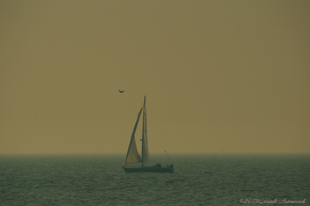 Photography image "Image without title" by Natali Antonovich | Photostock.