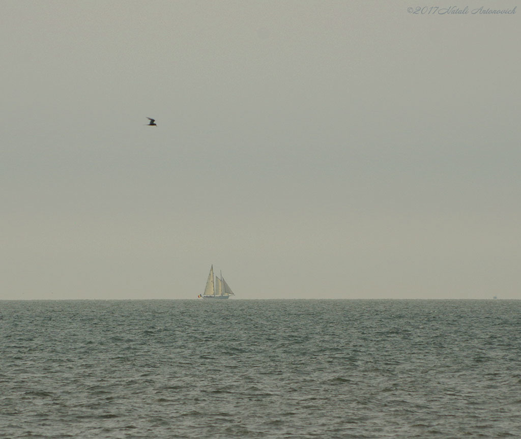 Photography image "Image without title" by Natali Antonovich | Photostock.