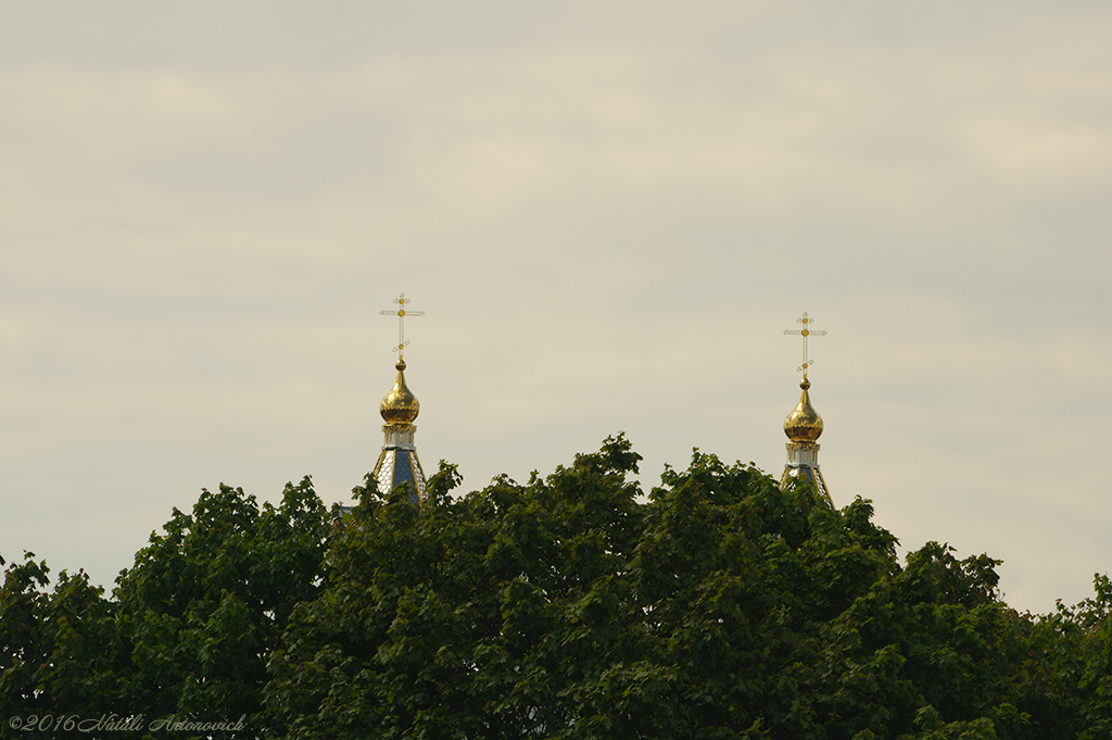 Album "Afbeelding zonder titel" | Fotografie afbeelding "Wit-Rusland" door Natali Antonovich in Archief/Foto Voorraad.