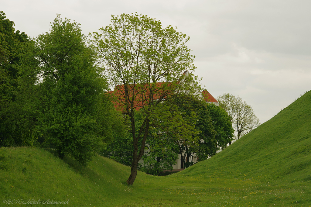 Photography image "Image without title" by Natali Antonovich | Photostock.