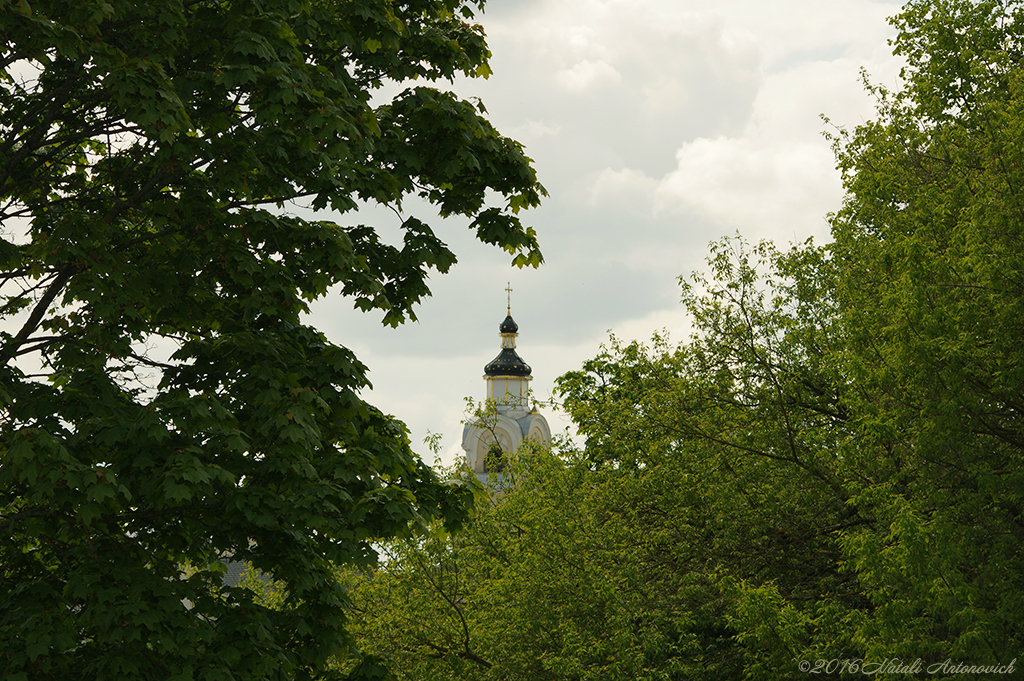 Album  "Image without title" | Photography image " Belarus" by Natali Antonovich in Photostock.