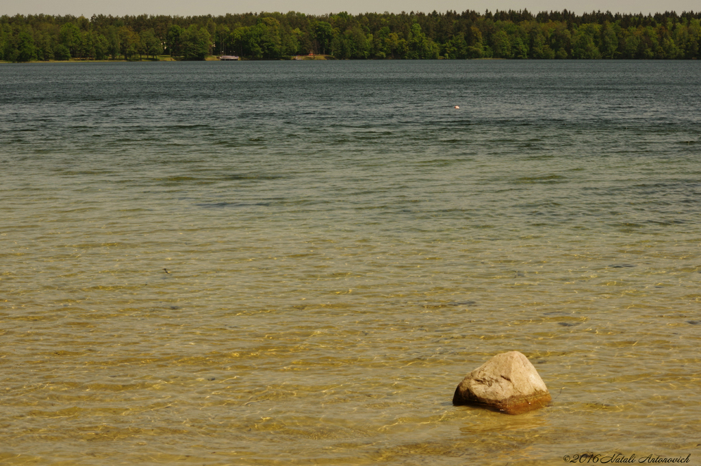 Album "Image sans titre" | Image de photographie "Water Gravitation" de Natali Antonovich en photostock.