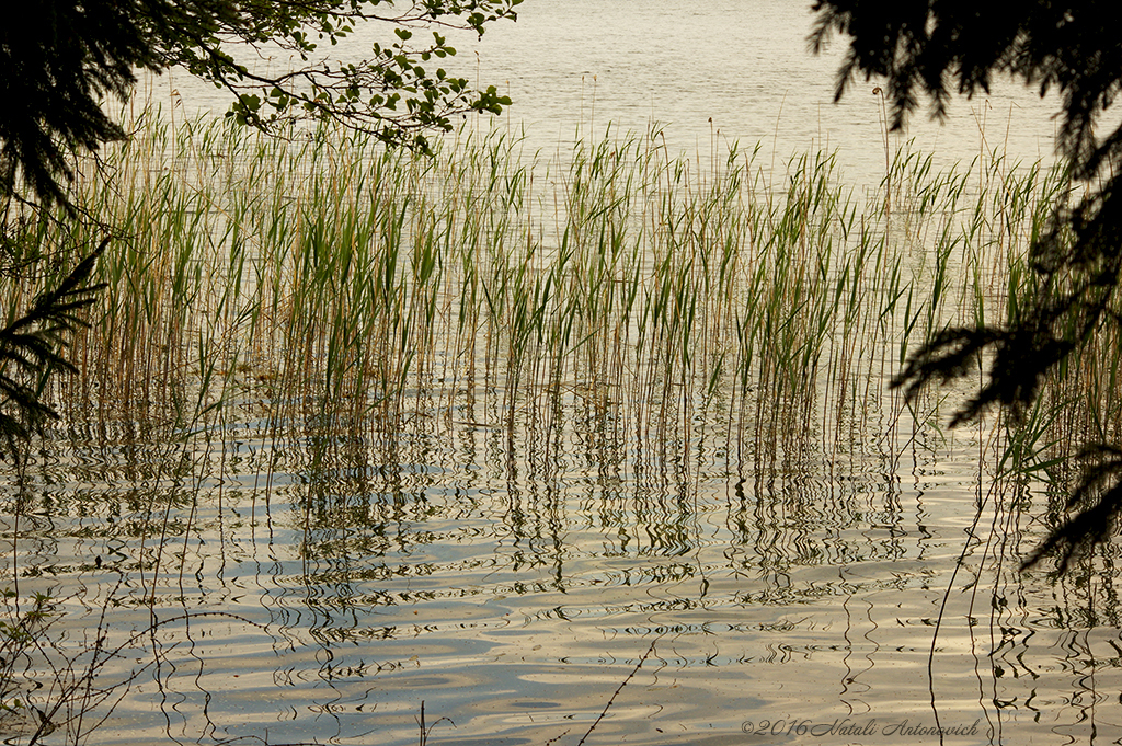 Image de photographie "Image sans titre" de Natali Antonovich | Photostock.