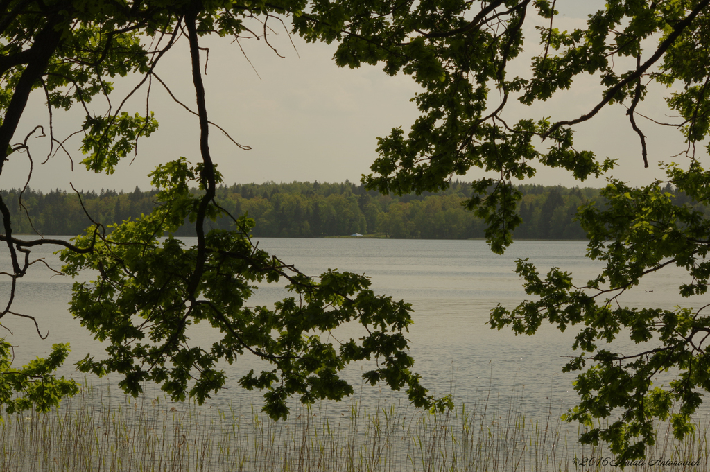 Album  "Image without title" | Photography image " Belarus" by Natali Antonovich in Photostock.