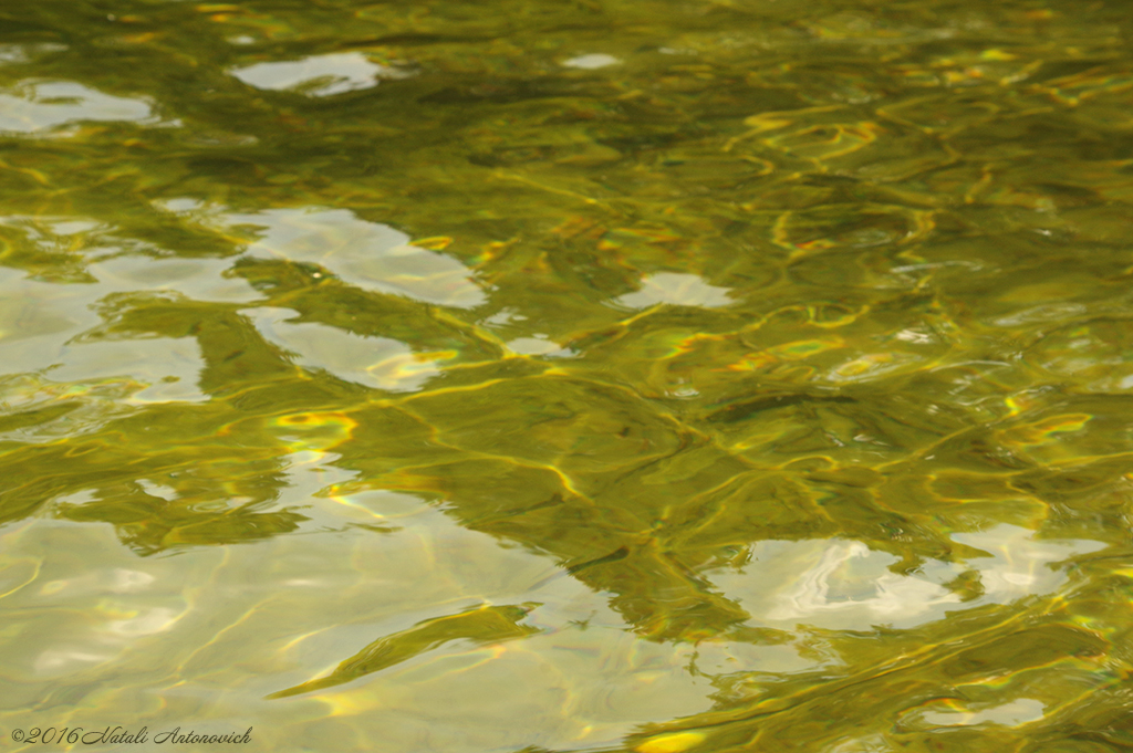 Album "Image sans titre" | Image de photographie "Water Gravitation" de Natali Antonovich en photostock.