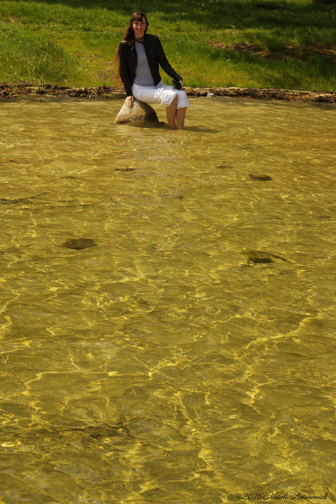 Album "Image sans titre" | Image de photographie "Water Gravitation" de Natali Antonovich en photostock.