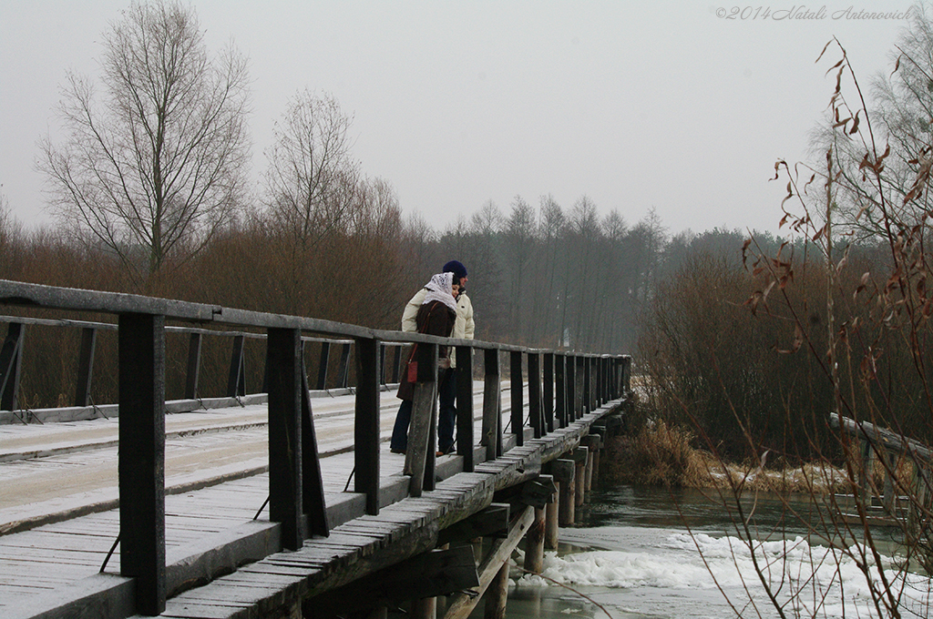 Album "Afbeelding zonder titel" | Fotografie afbeelding "Winter. Kerstvakantie" door Natali Antonovich in Archief/Foto Voorraad.