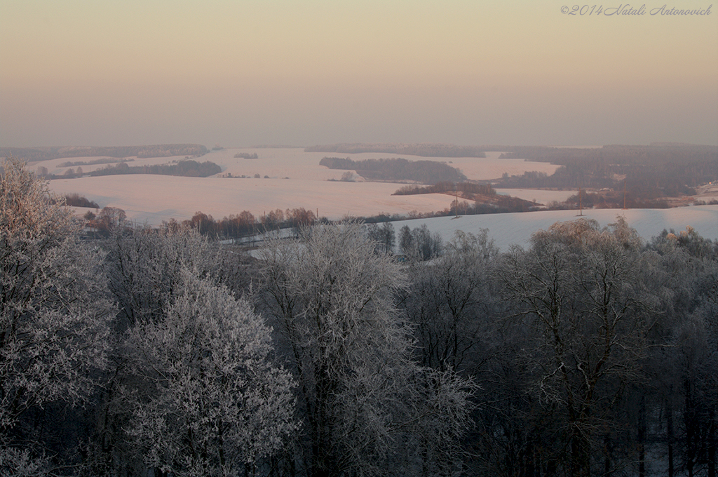 Album "Bild ohne Titel" | Fotografiebild "Winter. Weihnachtsferien" von Natali Antonovich im Sammlung/Foto Lager.