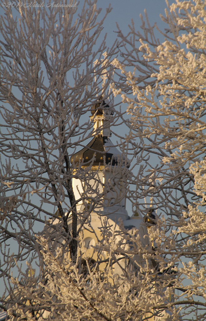 Album "Image sans titre" | Image de photographie "Hiver. Vacances de Noël" de Natali Antonovich en photostock.