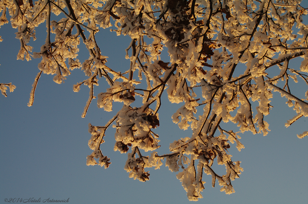 Album  "Image without title" | Photography image " Belarus" by Natali Antonovich in Photostock.