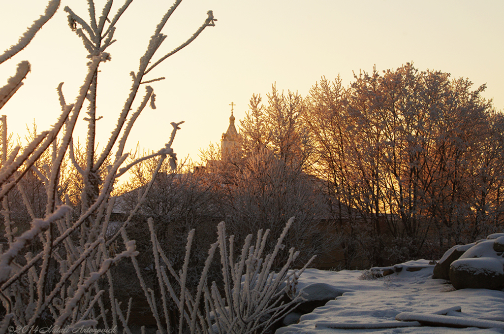 Album  "Image without title" | Photography image " Belarus" by Natali Antonovich in Photostock.