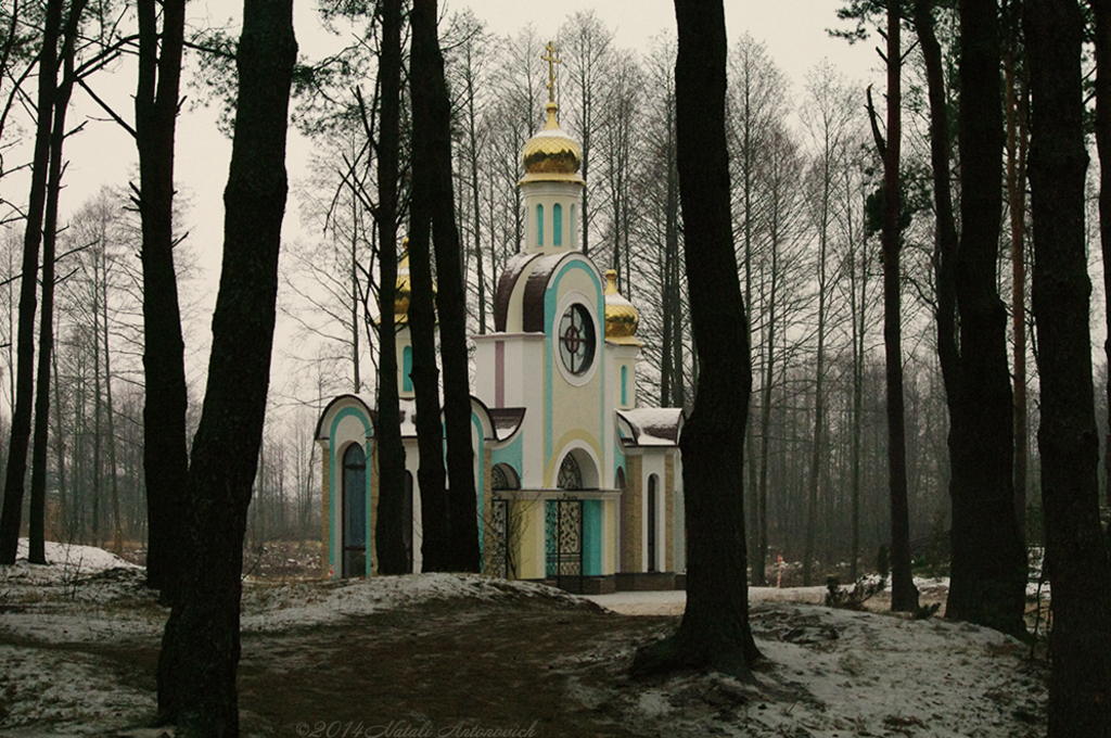 Album "Bild ohne Titel" | Fotografiebild "Weißrussland" von Natali Antonovich im Sammlung/Foto Lager.