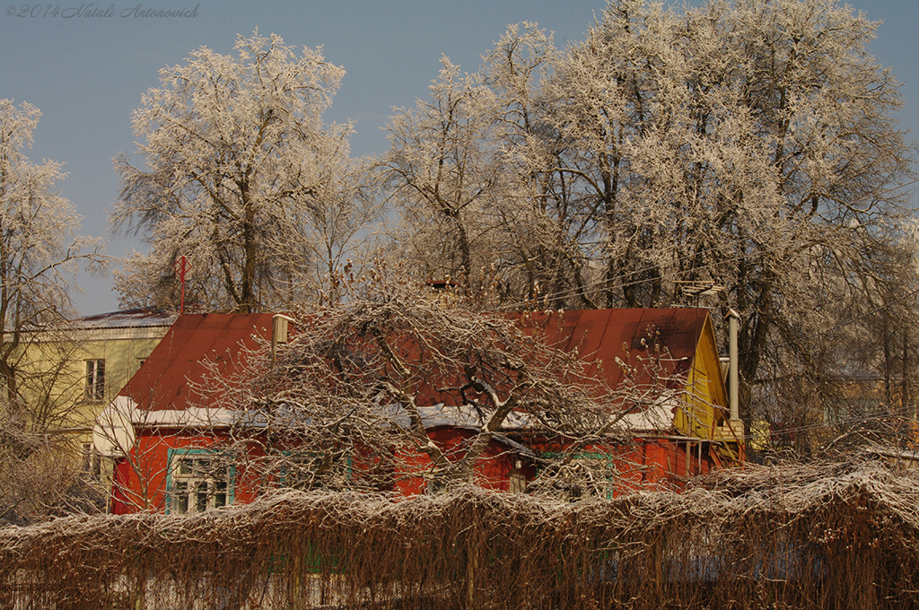 Album "Bild ohne Titel" | Fotografiebild "Winter. Weihnachtsferien" von Natali Antonovich im Sammlung/Foto Lager.