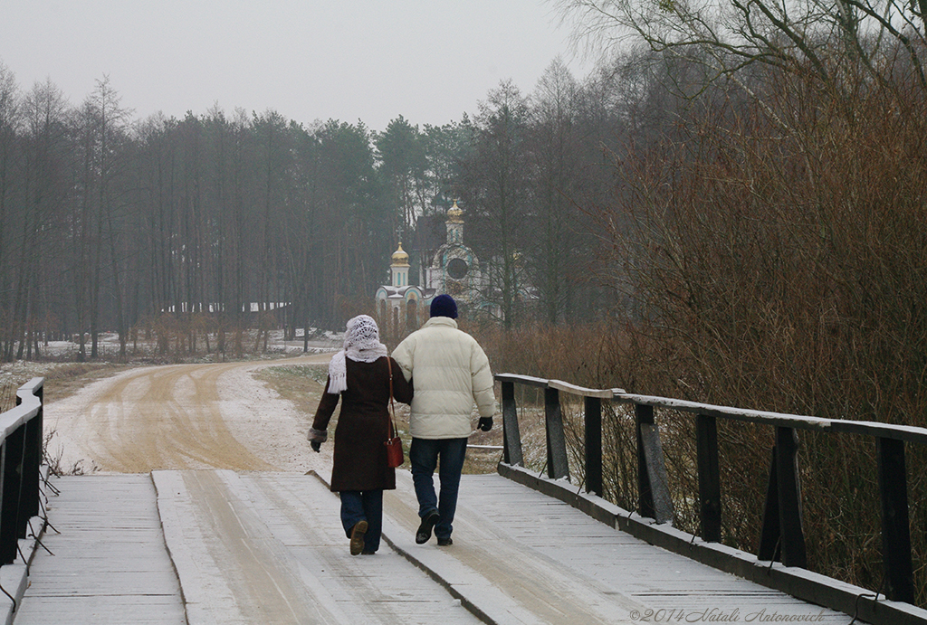 Album "Image sans titre" | Image de photographie "Hiver. Vacances de Noël" de Natali Antonovich en photostock.